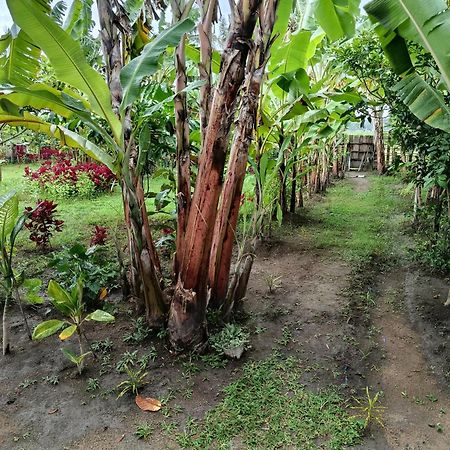 The Daun Puntik Homestay Pemenang Eksteriør billede