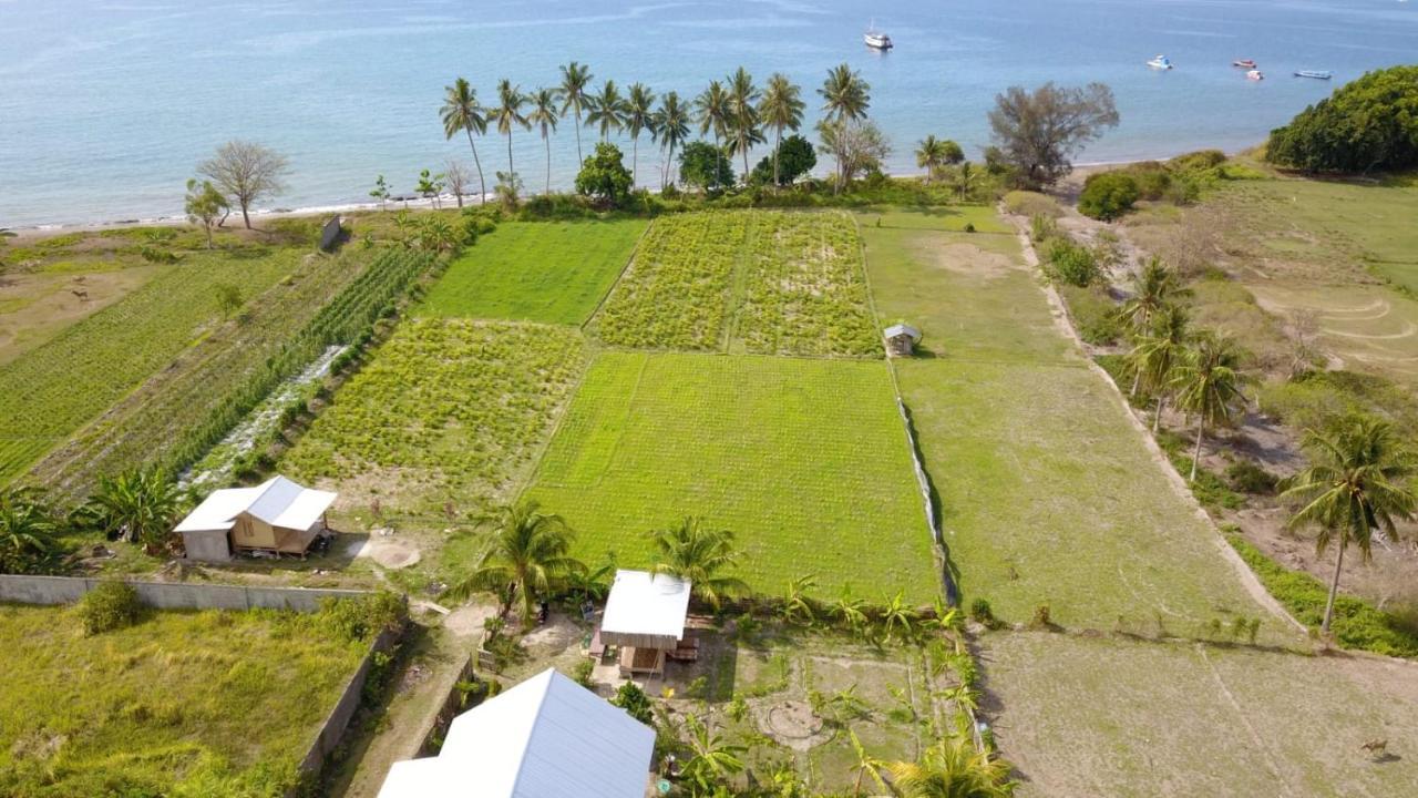 The Daun Puntik Homestay Pemenang Eksteriør billede