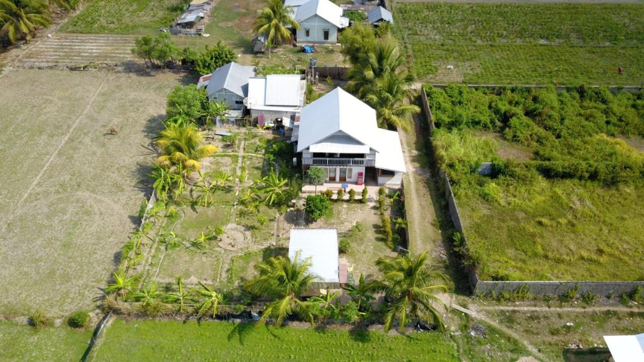 The Daun Puntik Homestay Pemenang Eksteriør billede