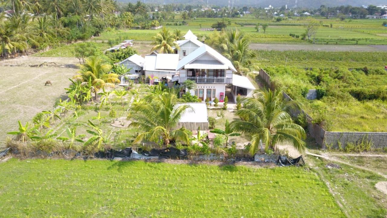 The Daun Puntik Homestay Pemenang Eksteriør billede
