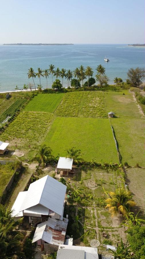 The Daun Puntik Homestay Pemenang Eksteriør billede