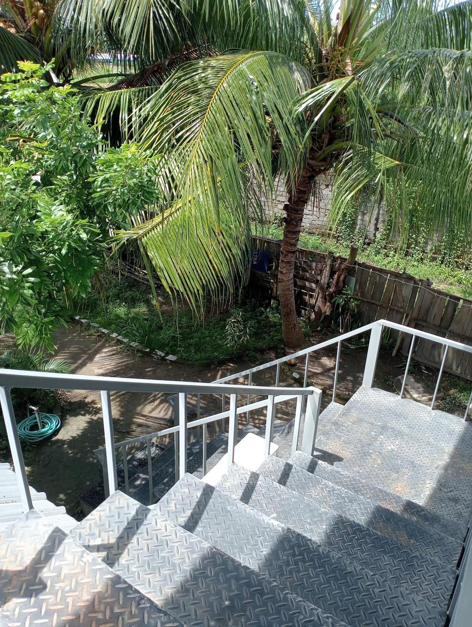 The Daun Puntik Homestay Pemenang Eksteriør billede