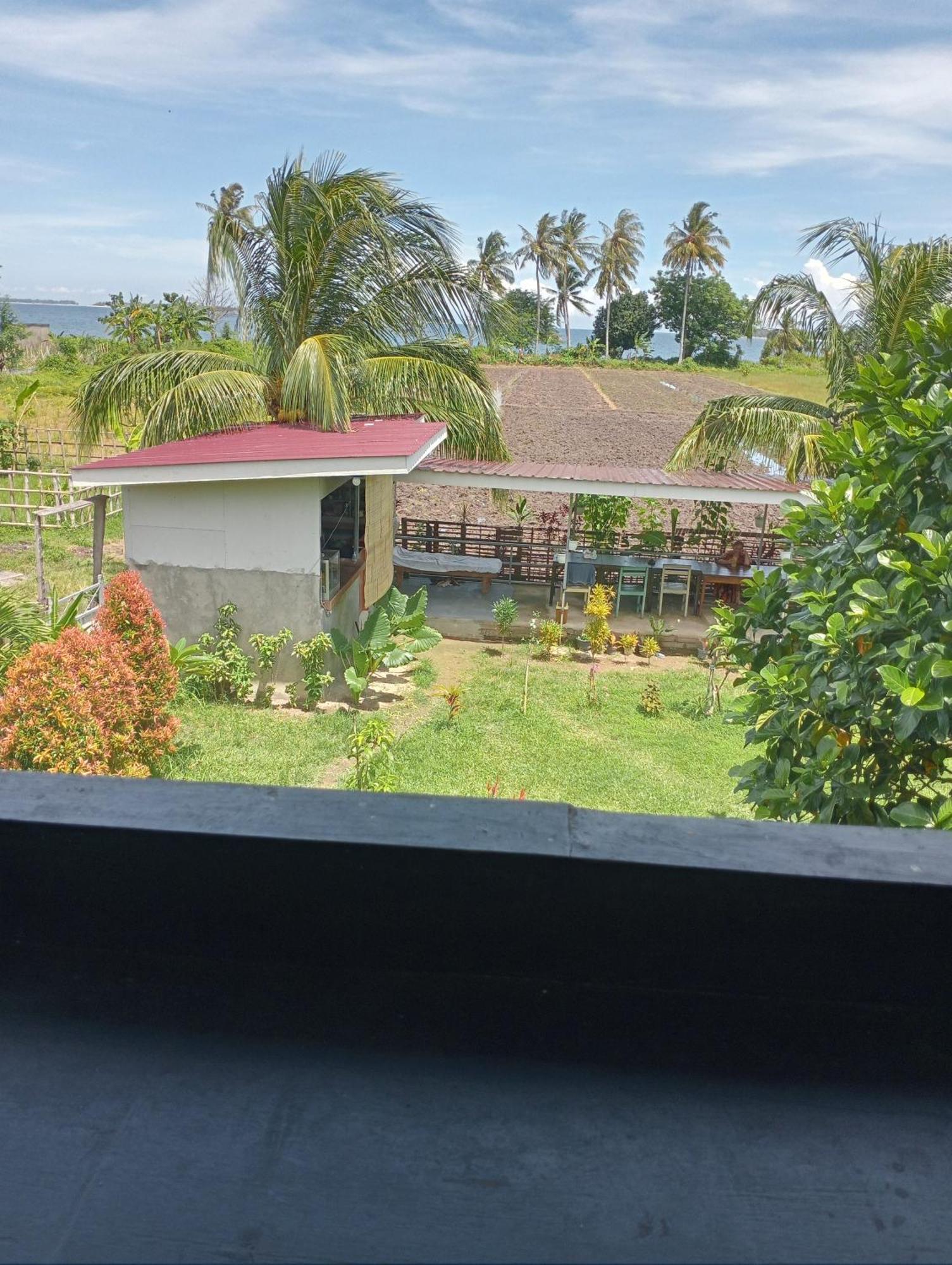 The Daun Puntik Homestay Pemenang Eksteriør billede