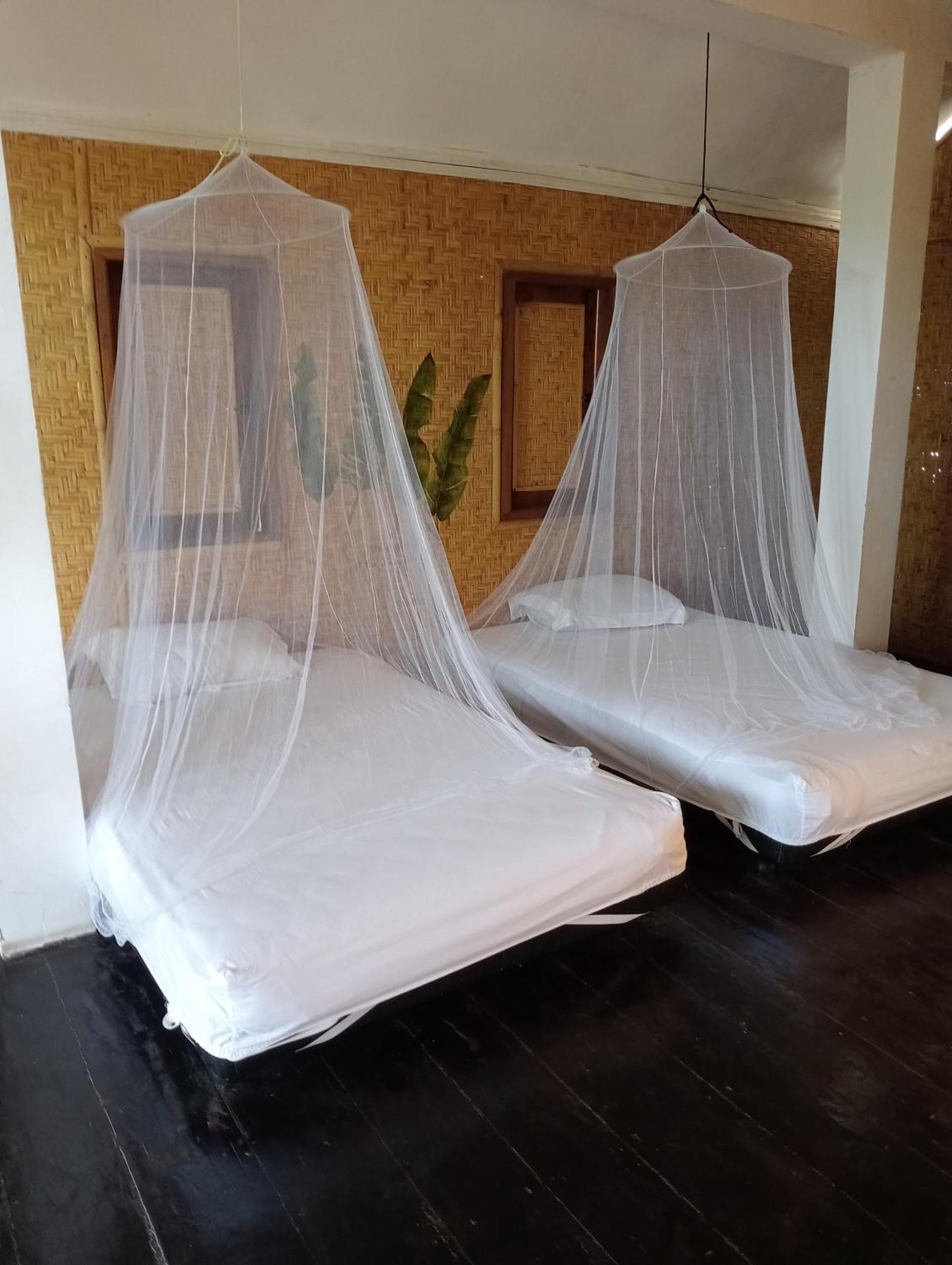 The Daun Puntik Homestay Pemenang Eksteriør billede