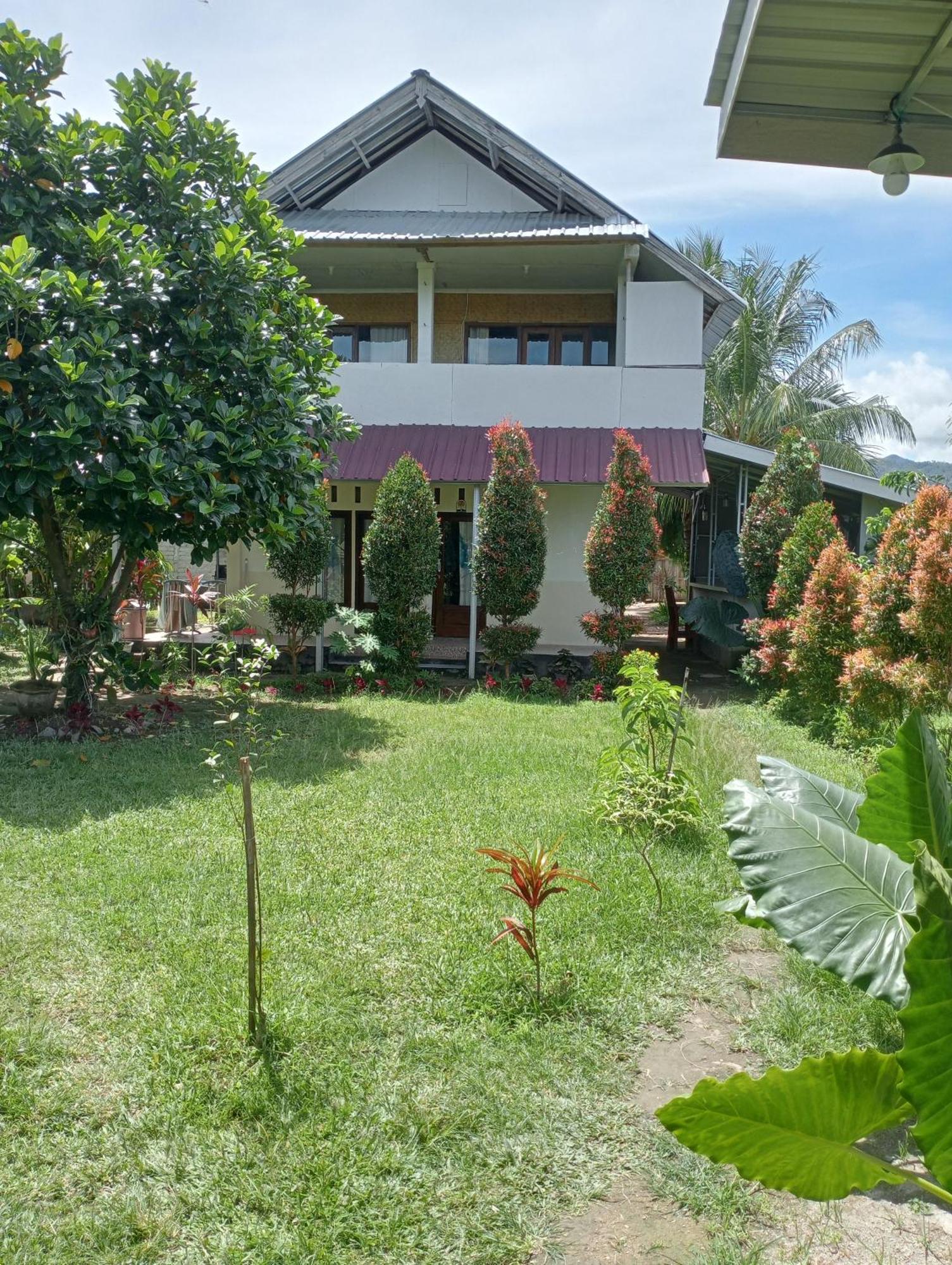 The Daun Puntik Homestay Pemenang Eksteriør billede