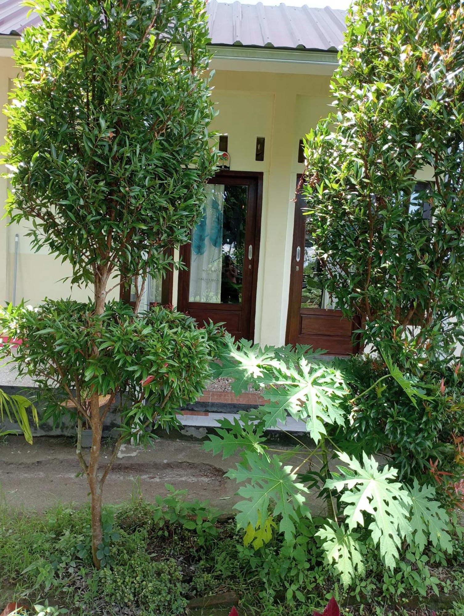 The Daun Puntik Homestay Pemenang Eksteriør billede